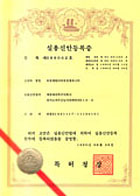 license02.jpg